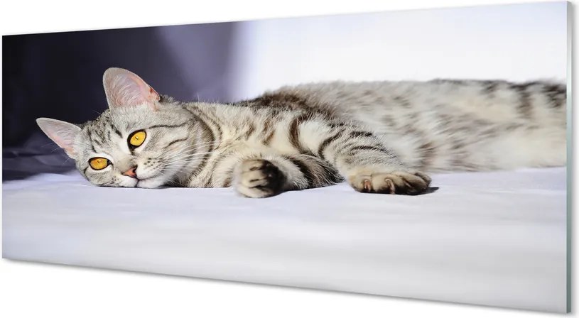 Szkło do Kuchni na Ścianę Leniwe Popołudnie na Kanapie