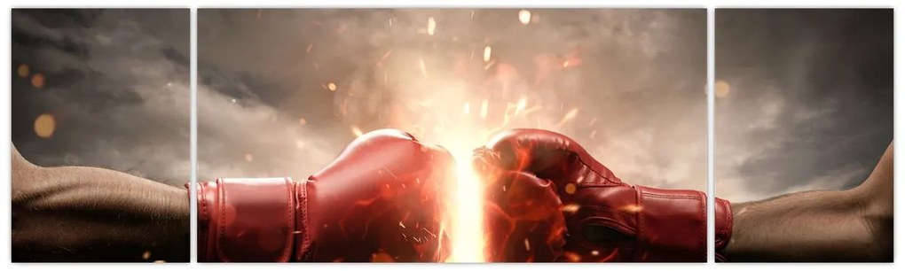 Obraz - Boks (170x50 cm)