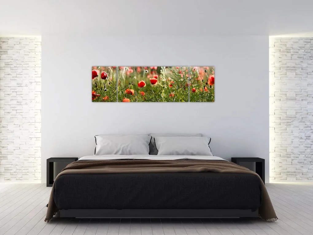 Obraz maków (170x50 cm)