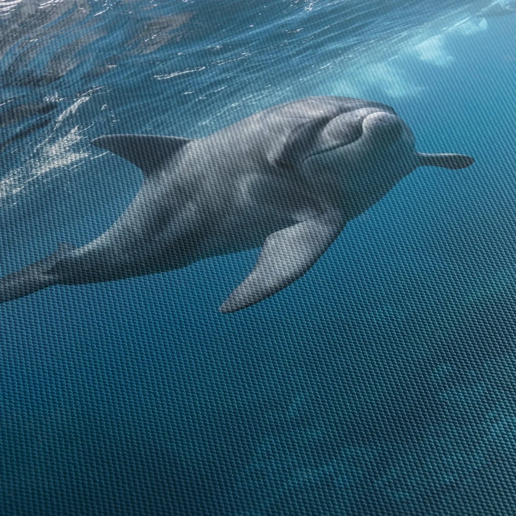 Obraz - Delfin pod wodą (z zegarem) (90x30 cm)