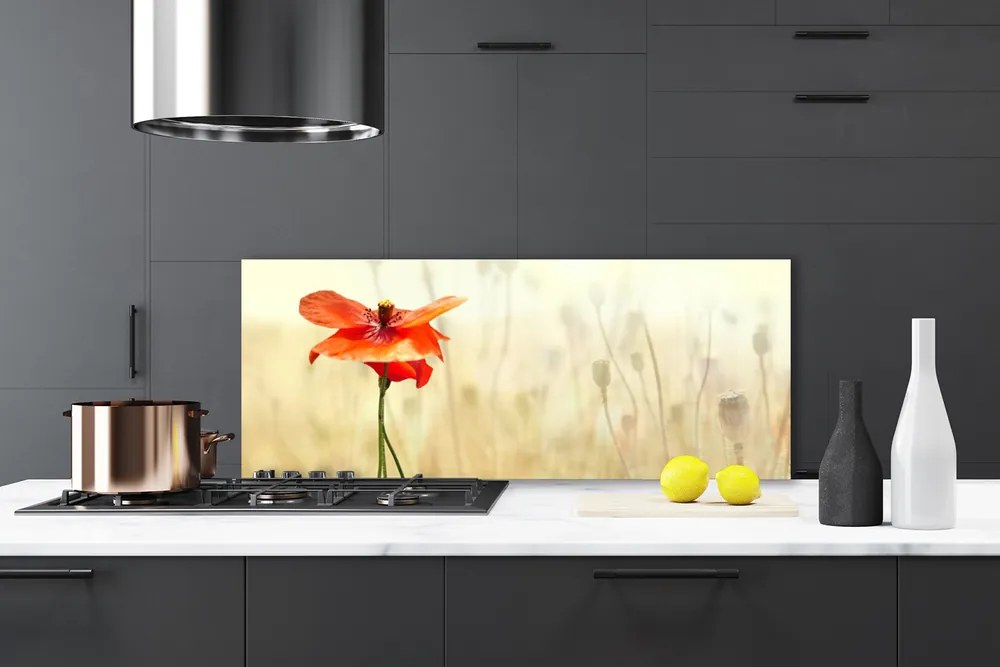 Panel Szklany Maki Roślina Natura