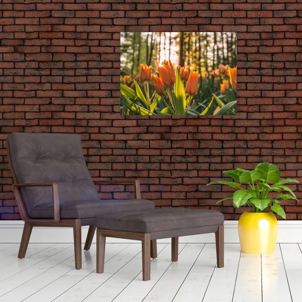 Obraz na szkle - kwiaty tulipanów (70x50 cm)