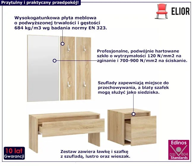 Nowoczesne meble do przedpokoju dąb sonoma R2-L99