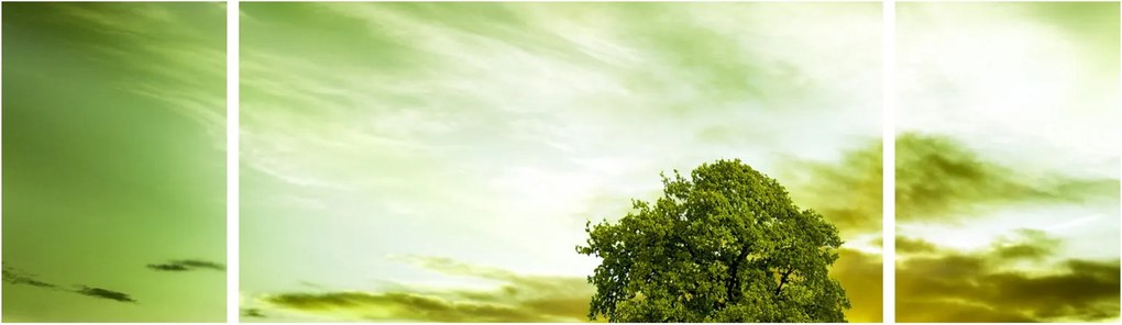 Obraz - Drzewo życia (170x50 cm)