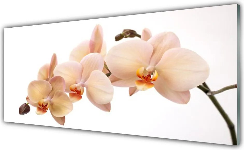 Panel Kuchenny Botaniczna Elegancja Kwiatów