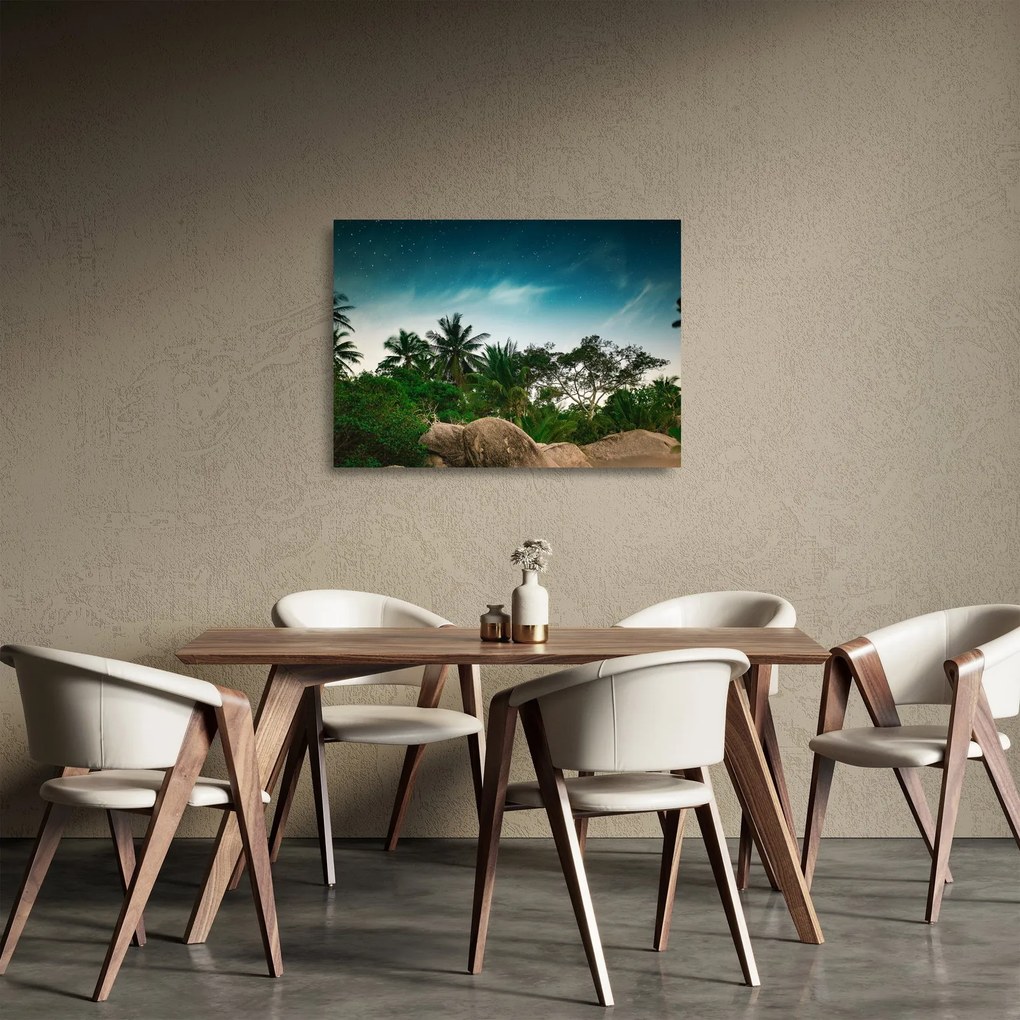 Obraz na szkle - palmy (70x50 cm)