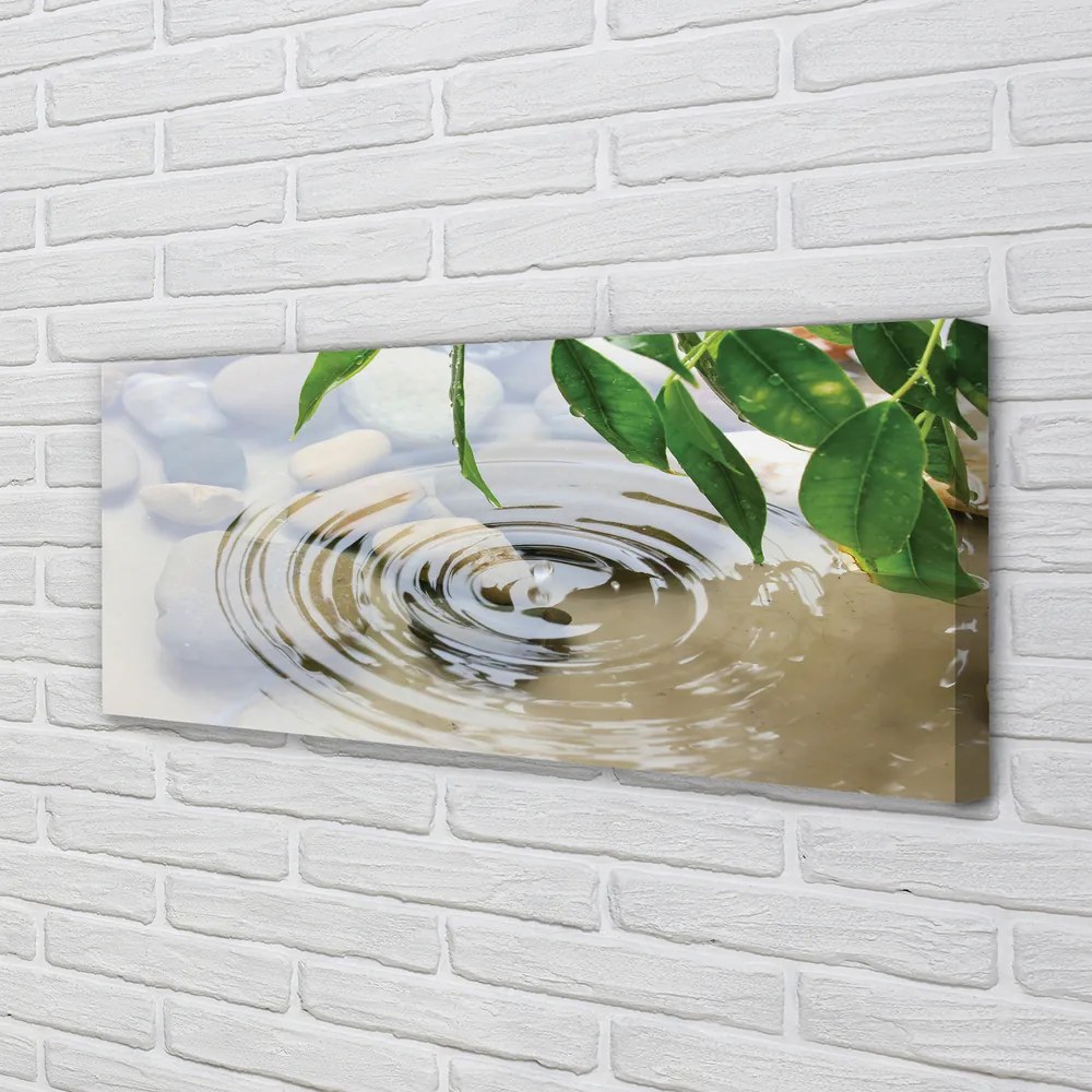 Duży obraz na płótnie Krystaliczny Plusk Wody