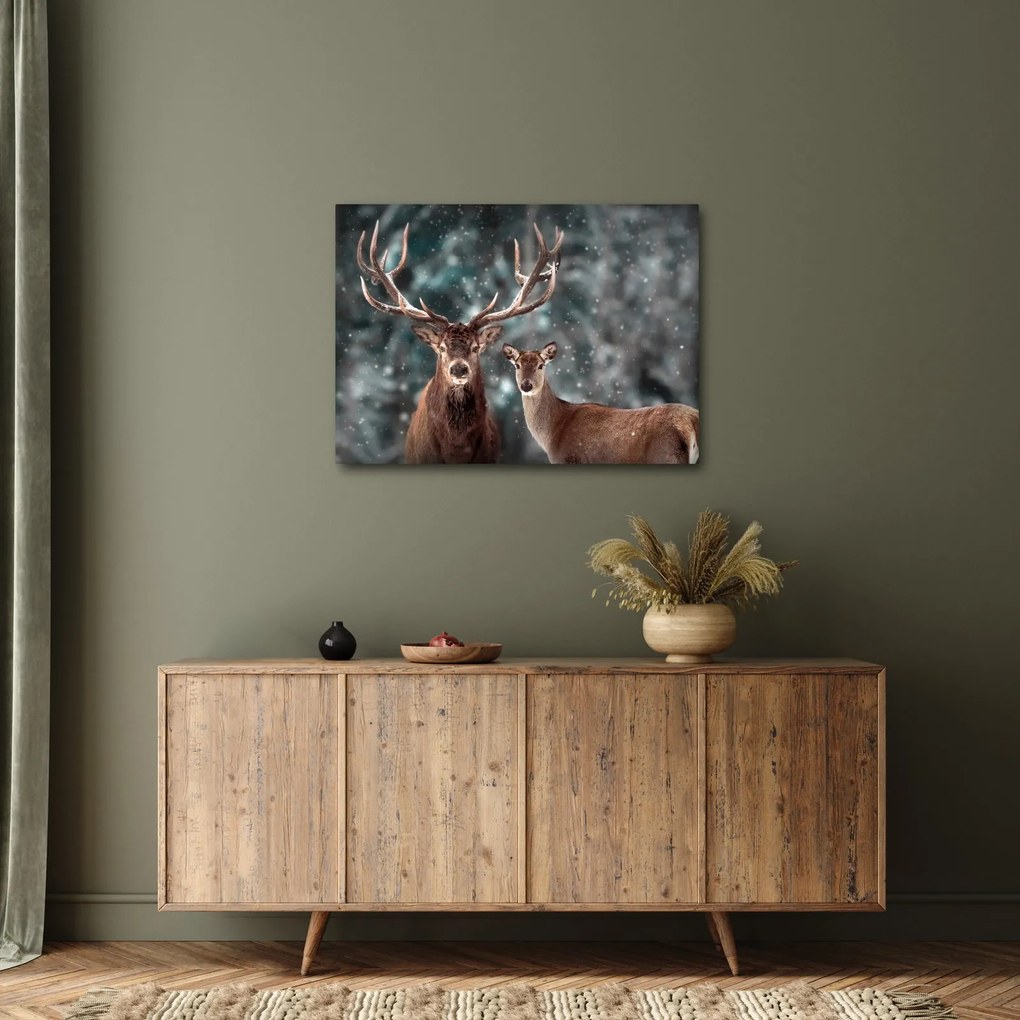 Obraz - Jeleń i łania w zaśnieżonym lesie (70x50 cm)