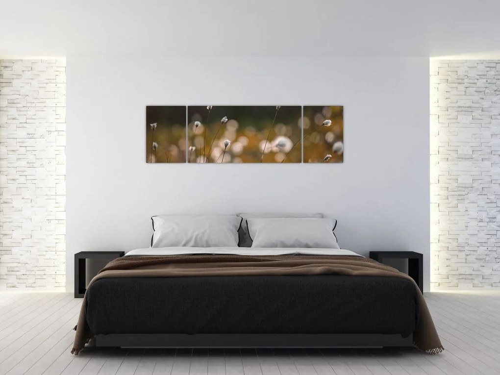 Obraz - Łąka z trawą bawełnianą N⁰2 (170x50 cm)