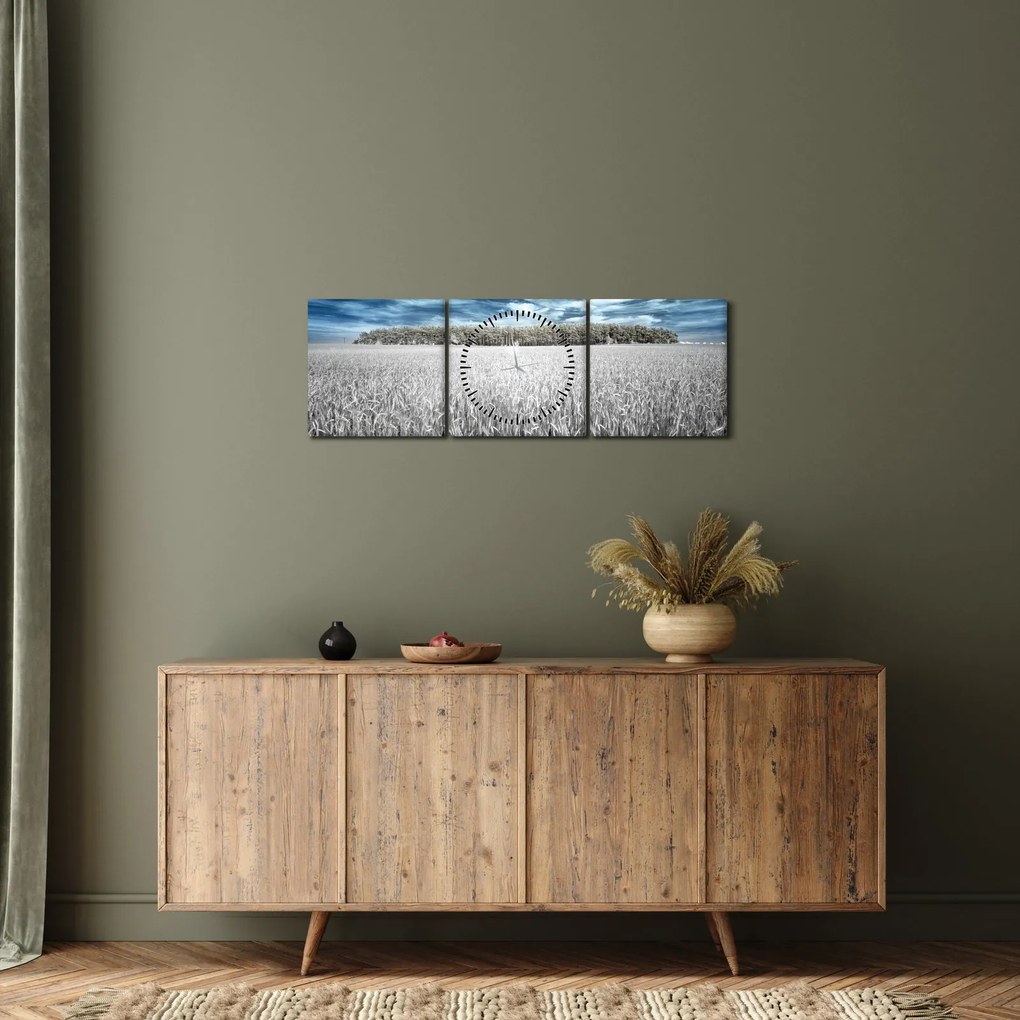 Obraz pola (z zegarem) (90x30 cm)