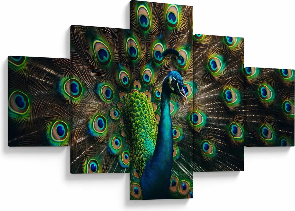 Obraz – Paw (125x70 cm)