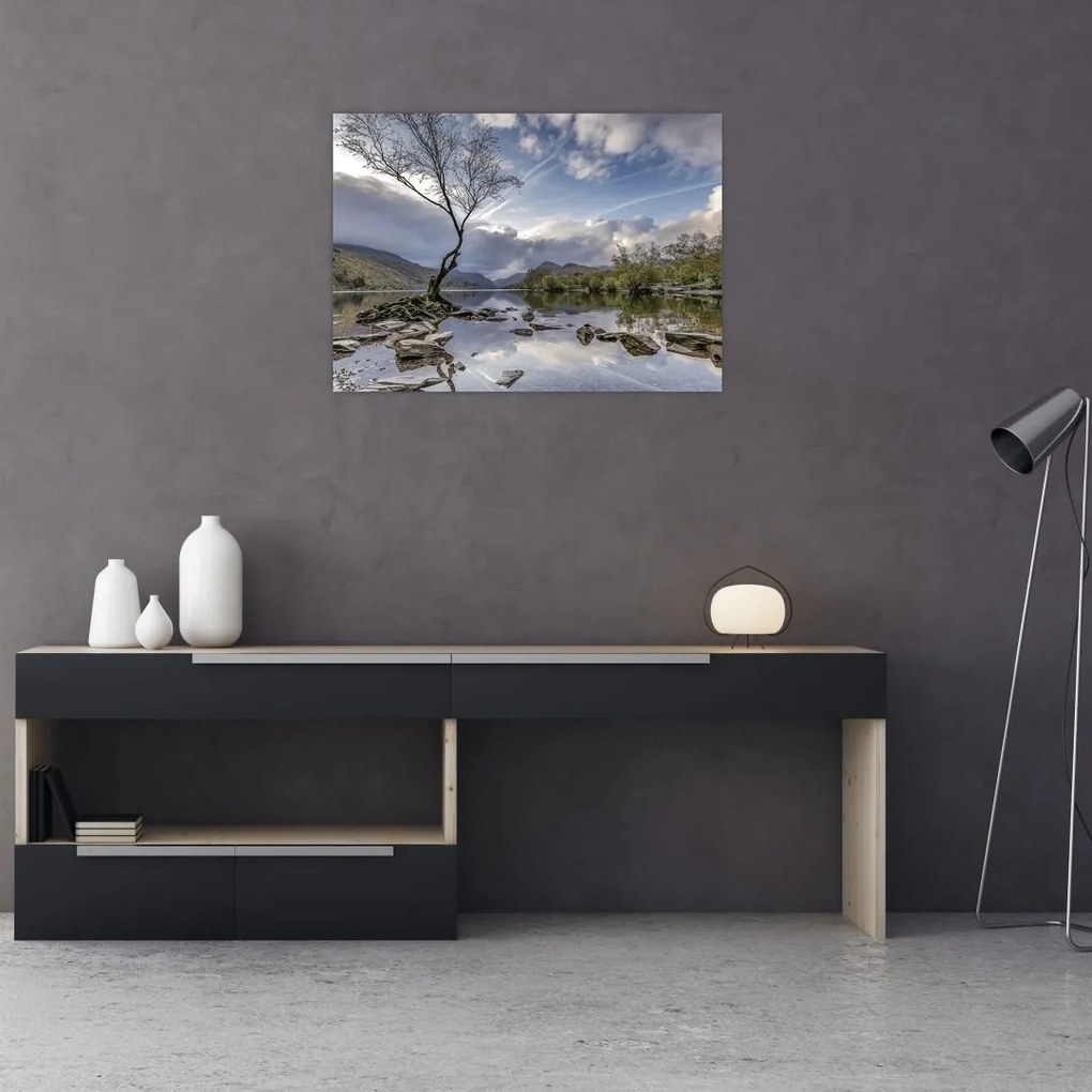 Obraz na szkle - rzeka z drzewem (70x50 cm)