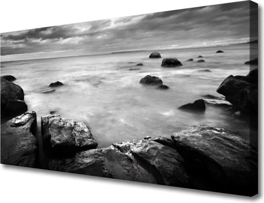 Obraz canvas Surowy Brzeg Oceanu