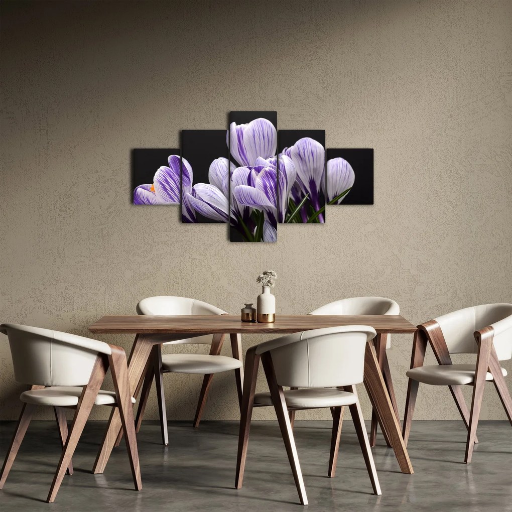 Obraz - Fioletowe krokusy (125x70 cm)
