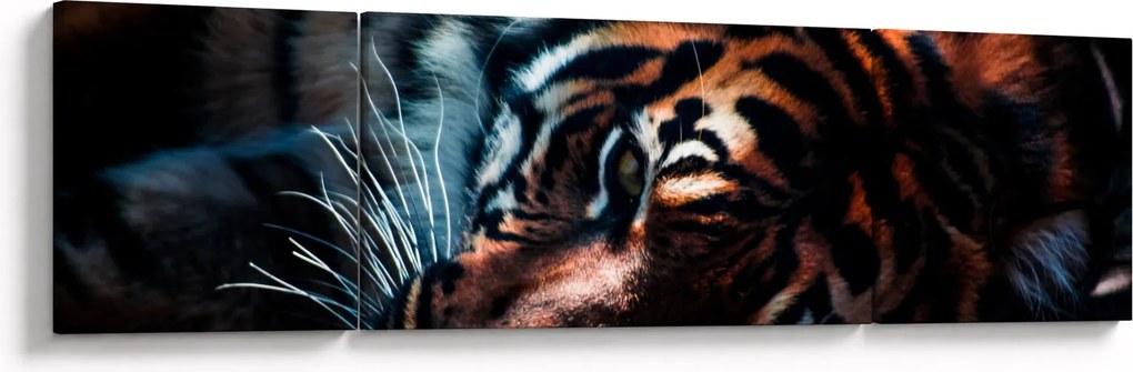 Obraz leżącego tygrysa (170x50 cm)