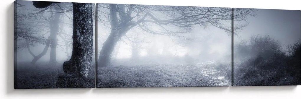 Obraz- Droga we mgle (170x50 cm)