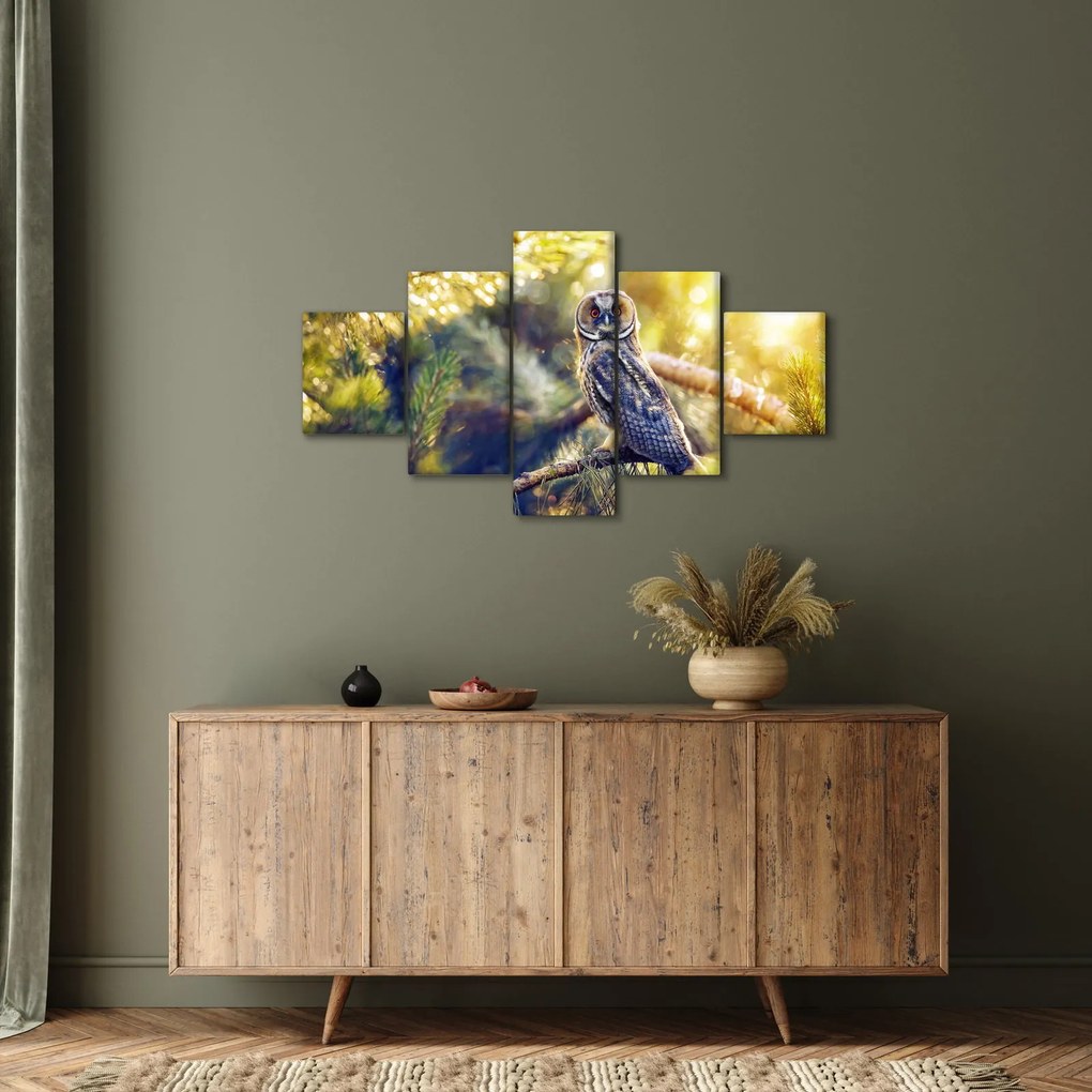 Obraz sowy na drzewie (125x70 cm)