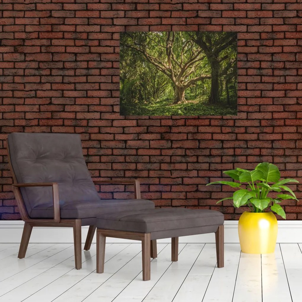 Obraz drzewa (70x50 cm)