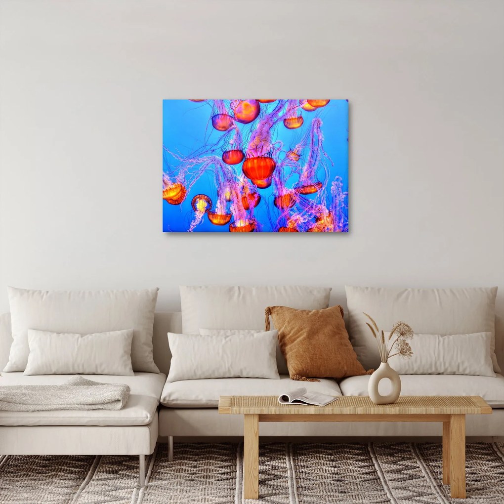 Obraz meduz w morzu (70x50 cm)