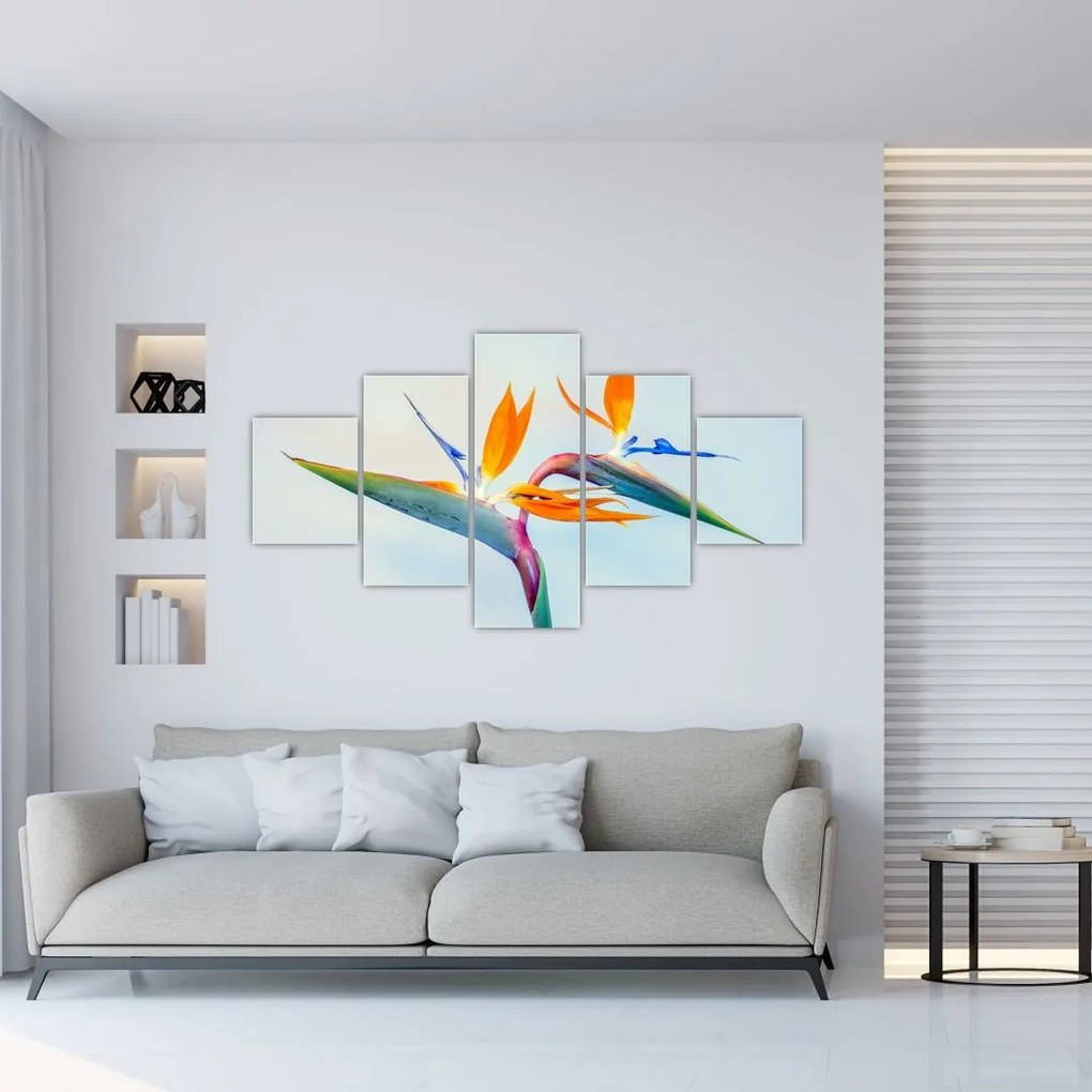 Obraz kwiatu Strelicji (125x70 cm)