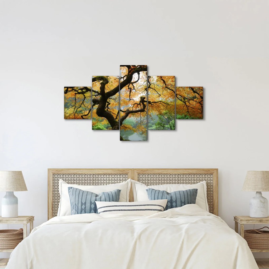 Obraz żółtego klonu japońskiego, Portland, Oregon (125x70 cm)
