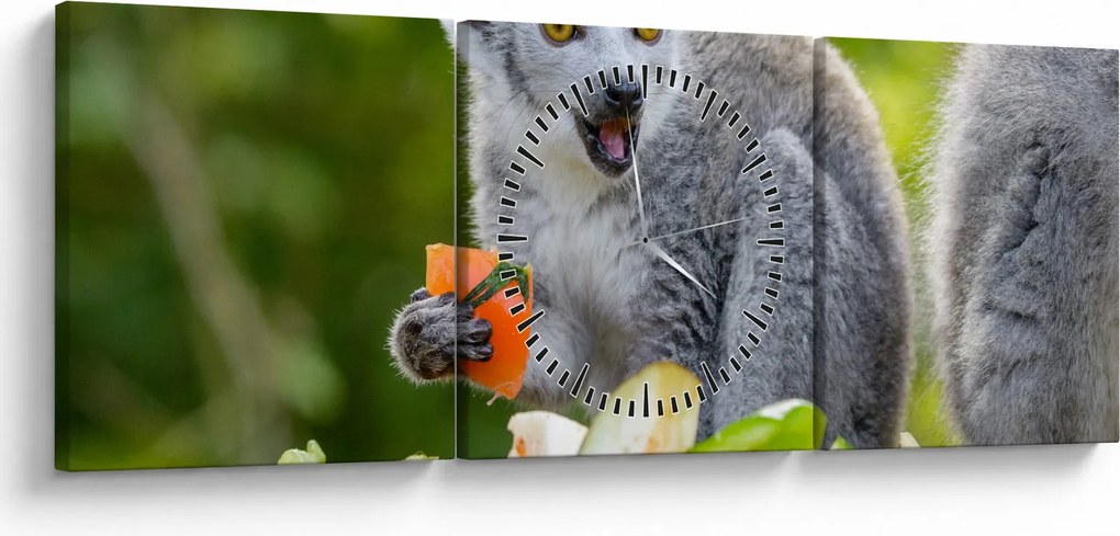 Obraz lemura (z zegarem) (90x30 cm)