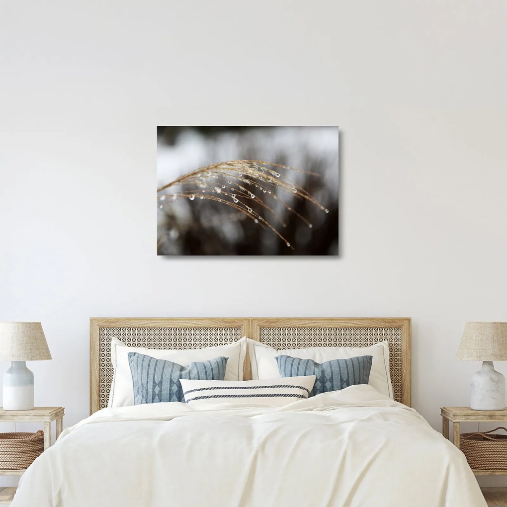Obraz na szkle kropli na roślinie (70x50 cm)