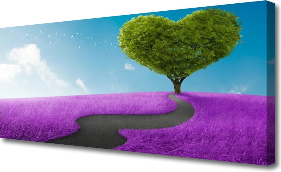 Duży obraz na płótnie Ścieżka przez Letnią Polanę