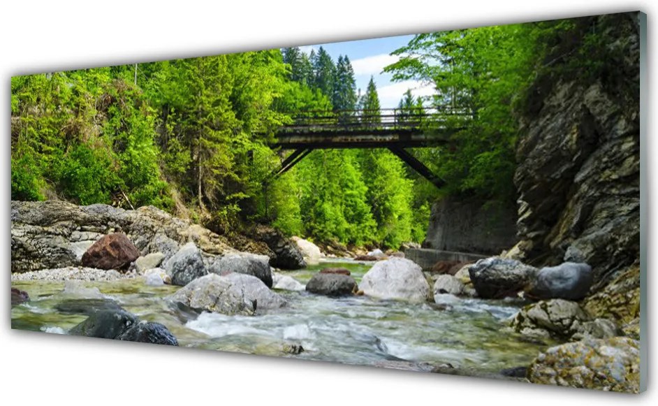 Panel Szklany Mostek w Cieniu Drzew