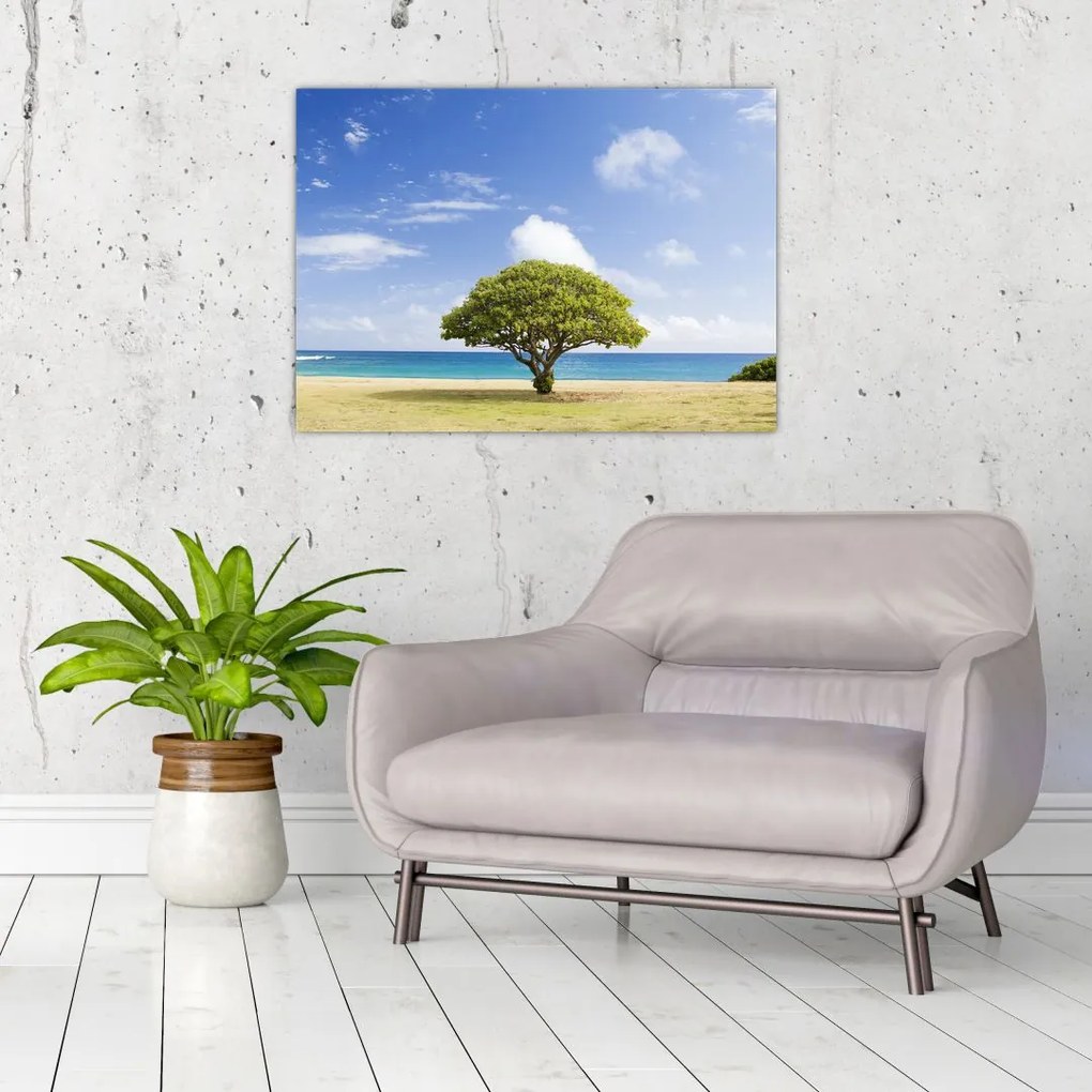 Obraz plaży z drzewem (70x50 cm)