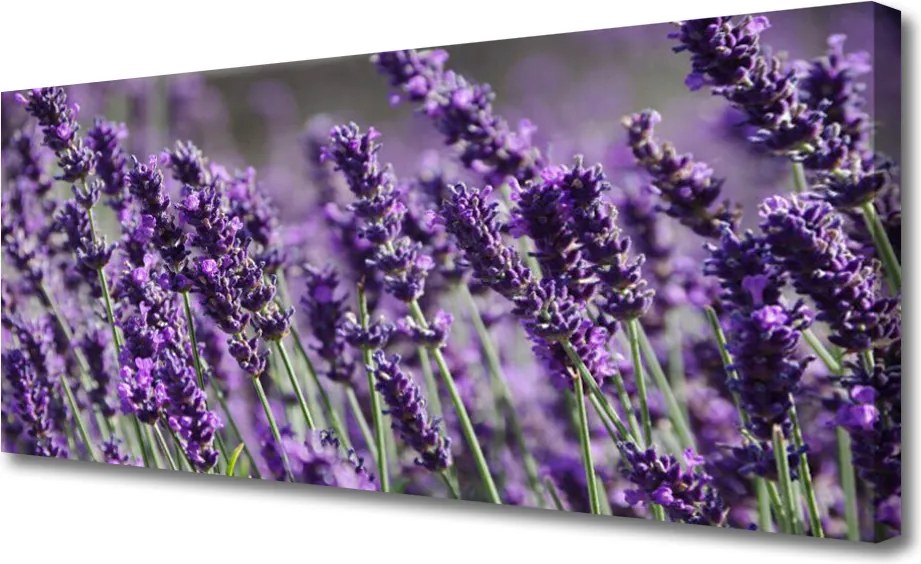 Fotoobraz na płótnie Kompozycja Kwiatowa na Płótnie