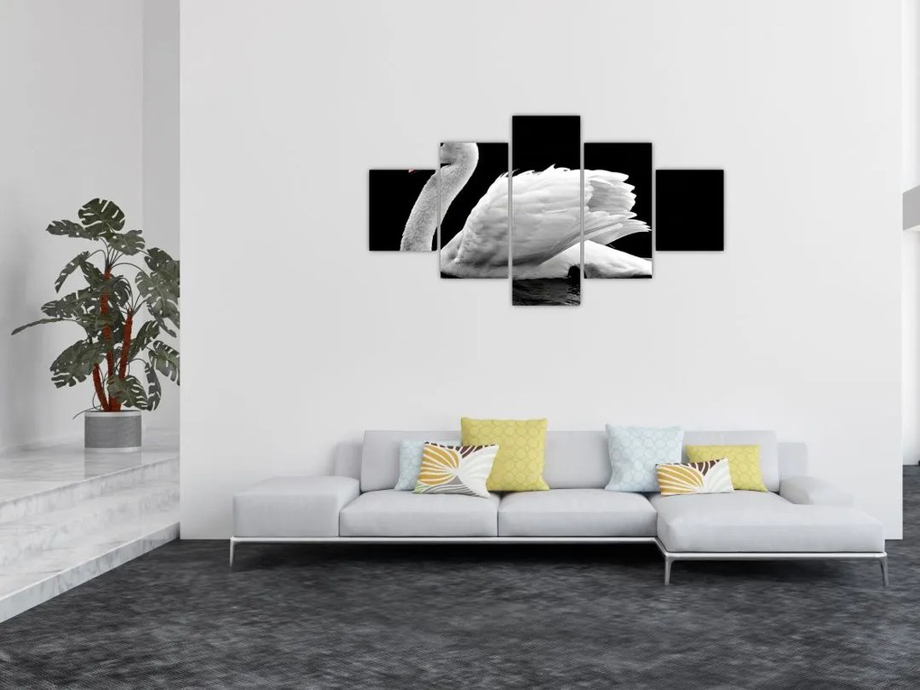 Obraz czarno - białego łabędzia (125x70 cm)