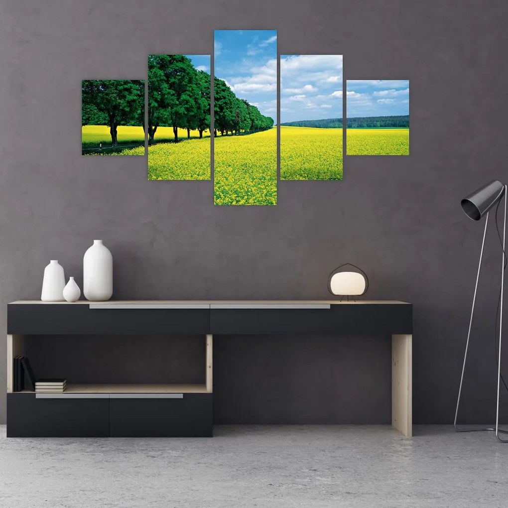 Obraz pola z aleją (125x70 cm)
