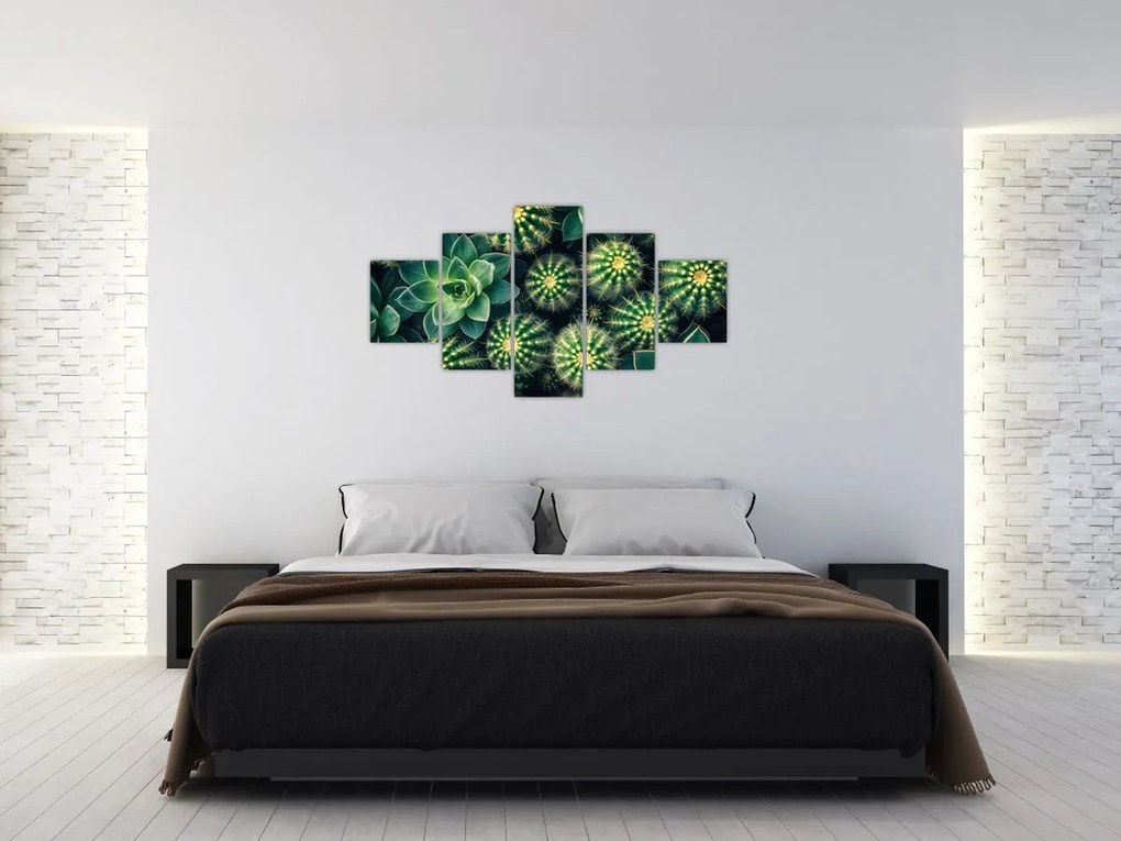 Obraz - Kaktusy (125x70 cm)