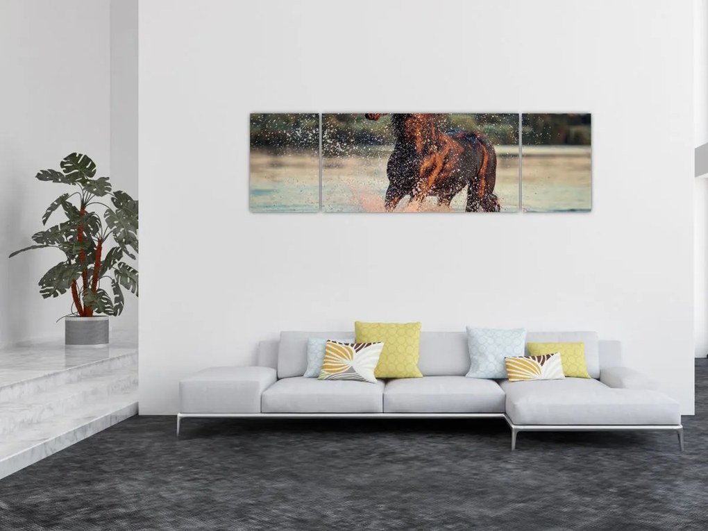 Obraz - Biegnący koń (170x50 cm)