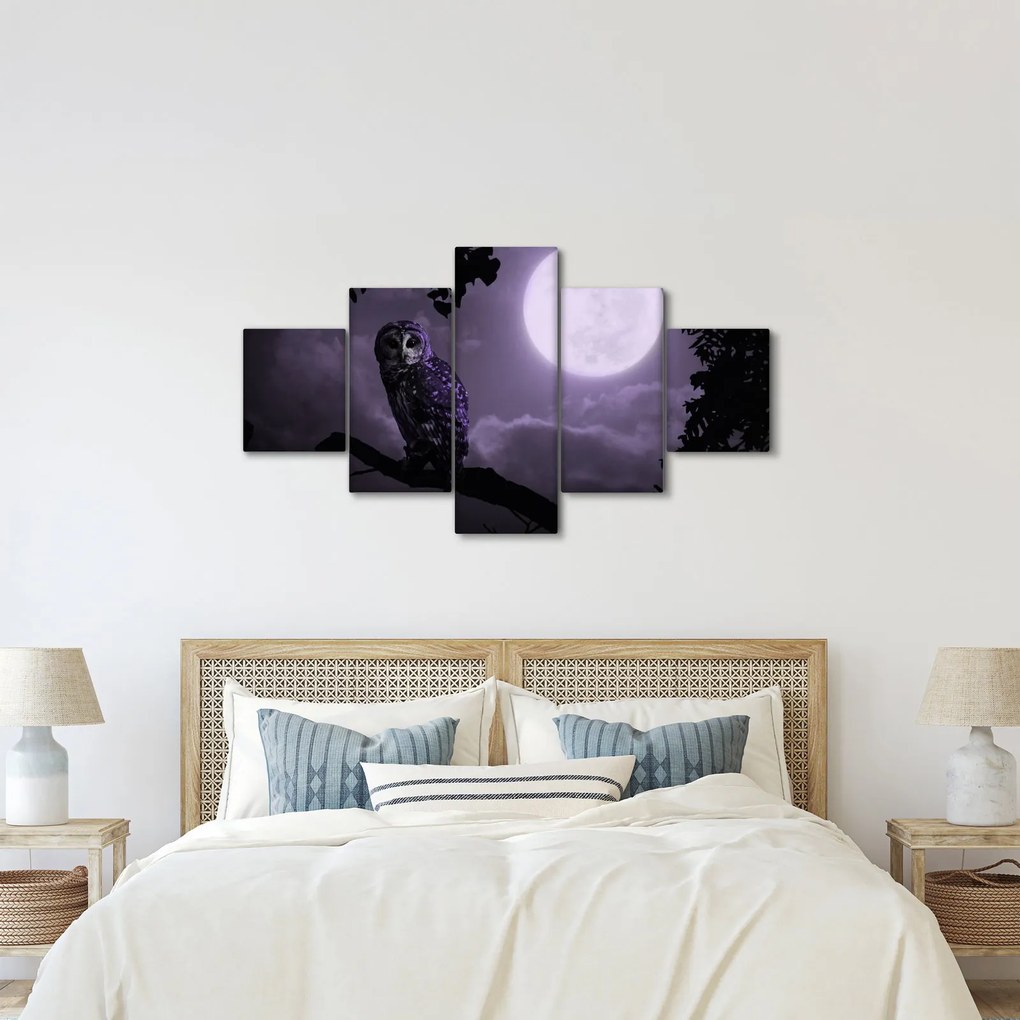 Obraz - Nocna sowa, fioletowy (125x70 cm)