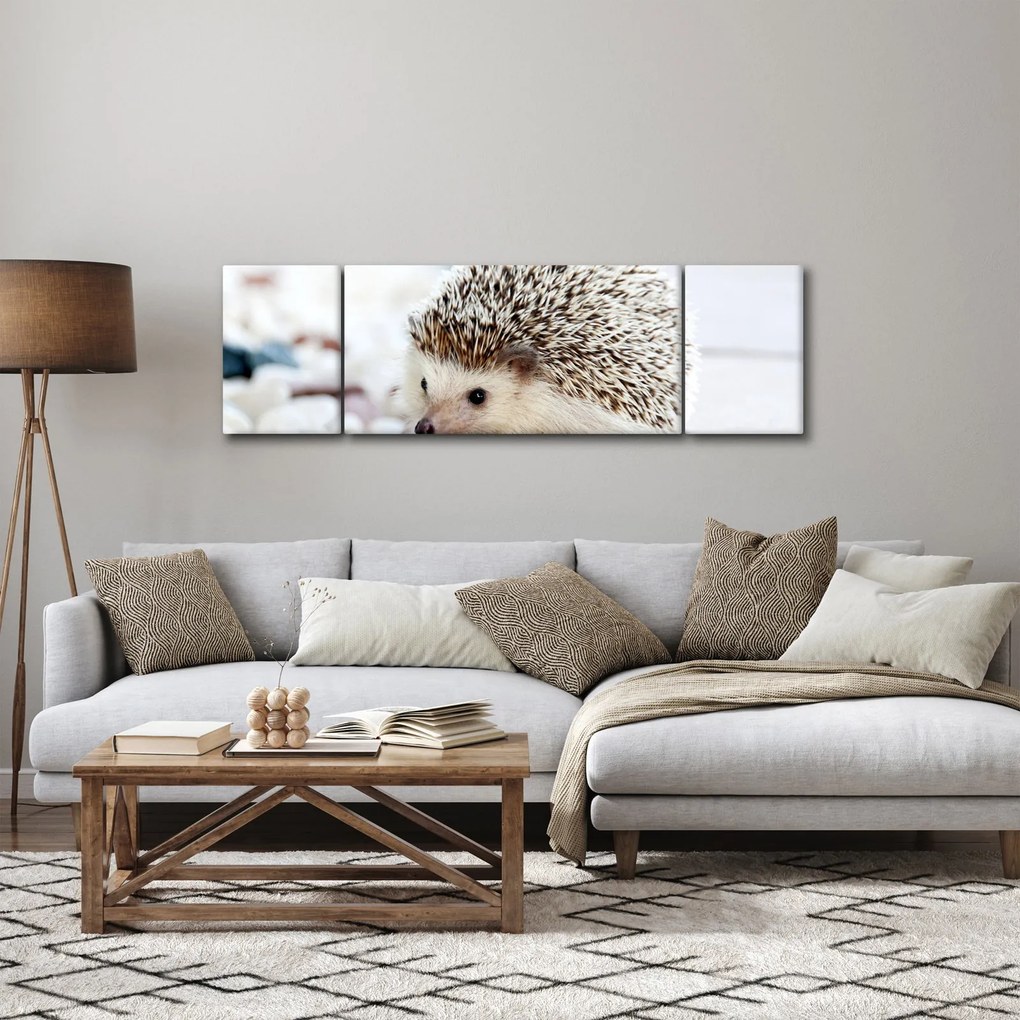 Obraz jeża (170x50 cm)