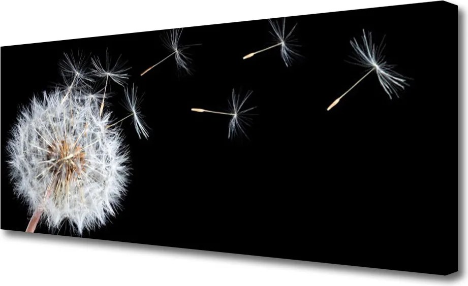 Obraz canvas Ulotność Polnego Dmuchawca