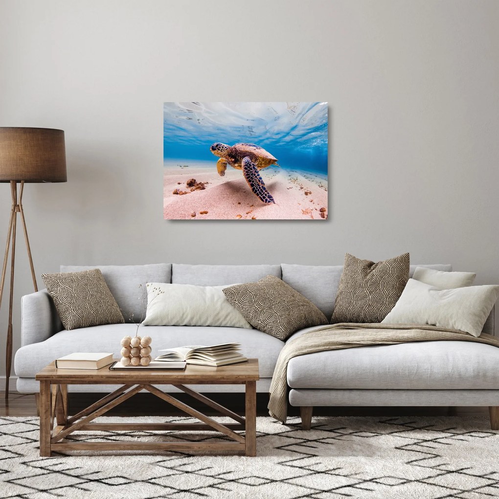 Obraz na szkle żółwia w oceanie (70x50 cm)