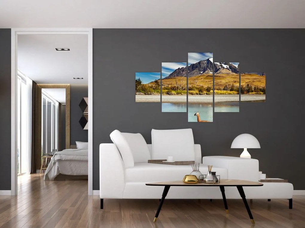 Obraz - Park Narodowy Torres del Paine (125x70 cm)