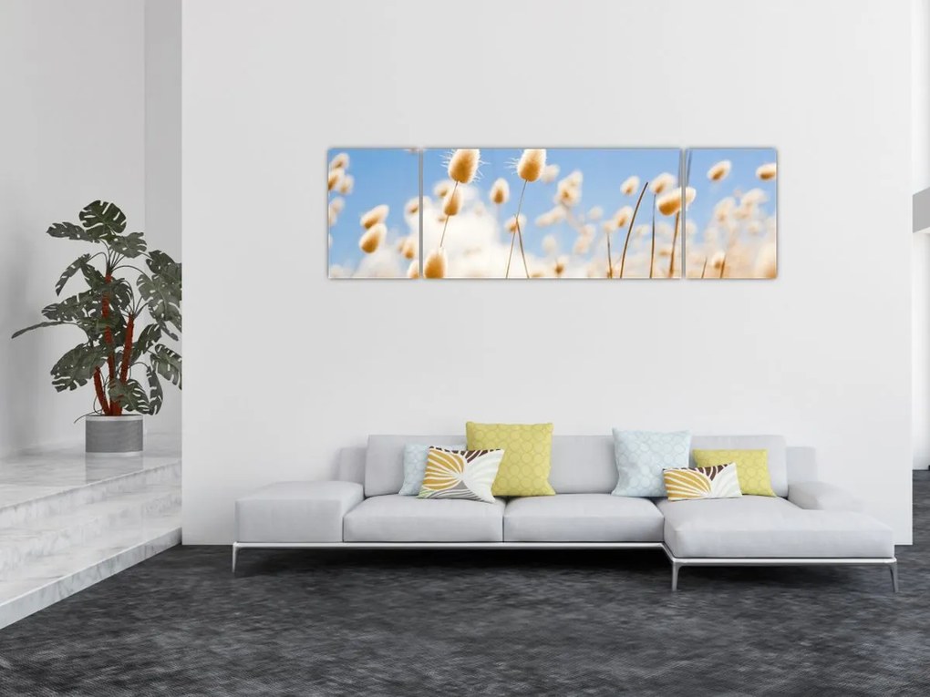 Obraz - Złote pole (170x50 cm)