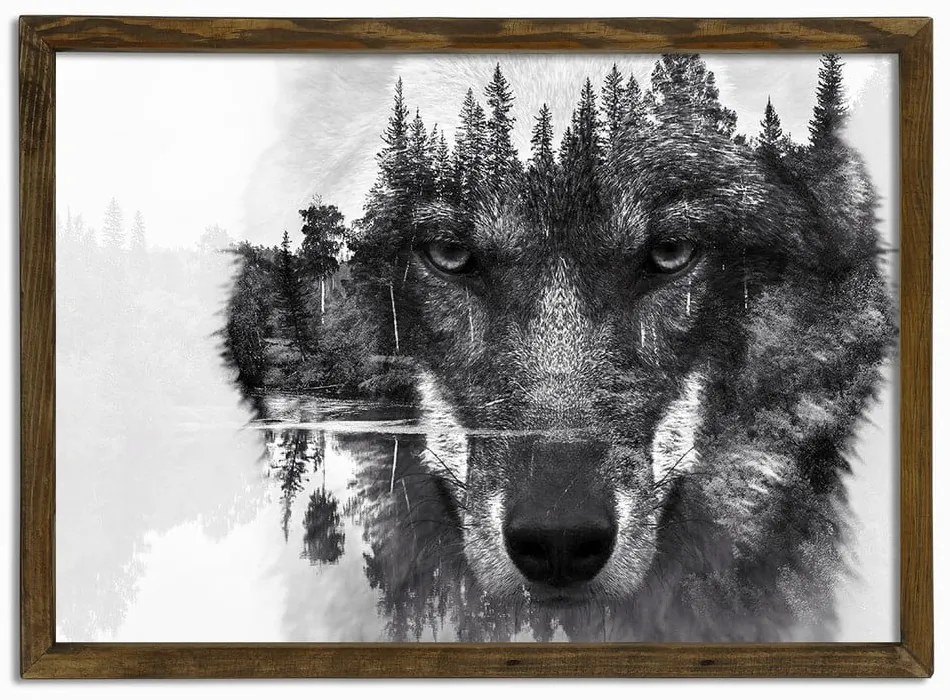 Obraz Husky, 70x50 cm