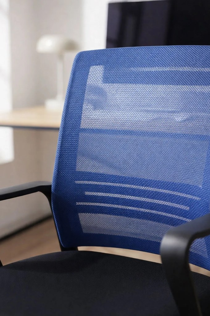 Pewny siebie Krzeso Kole