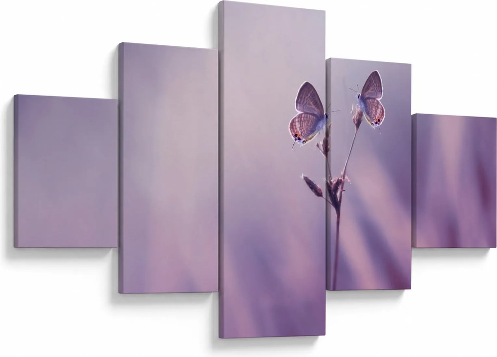 Obraz - Fioletowe motyle (125x70 cm)