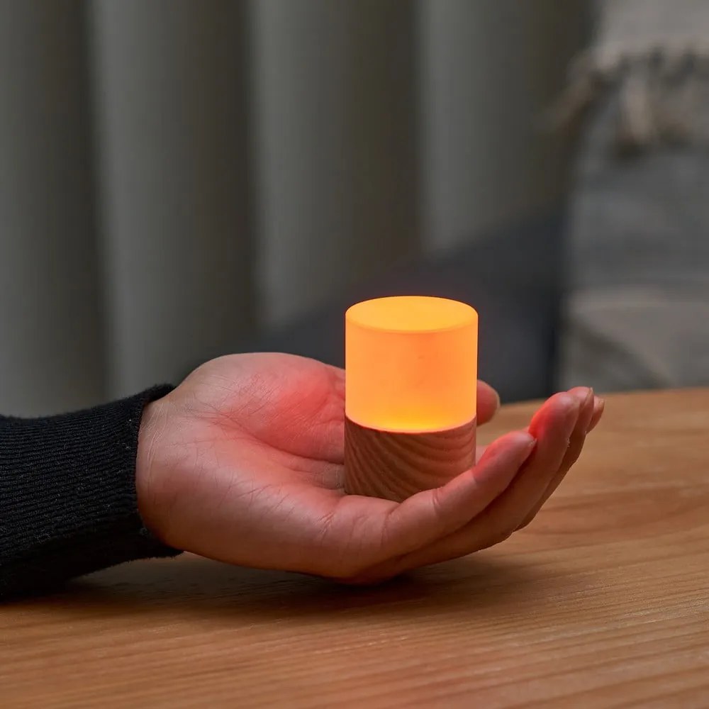 Dekoracja świetlna na USB w naturalnym kolorze ø 4,5 cm Lemelia – Gingko