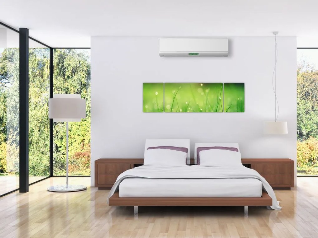 Obraz - rosa na trawie (170x50 cm)