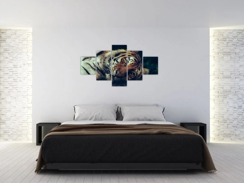 Obraz - tygrys syberyjski (125x70 cm)