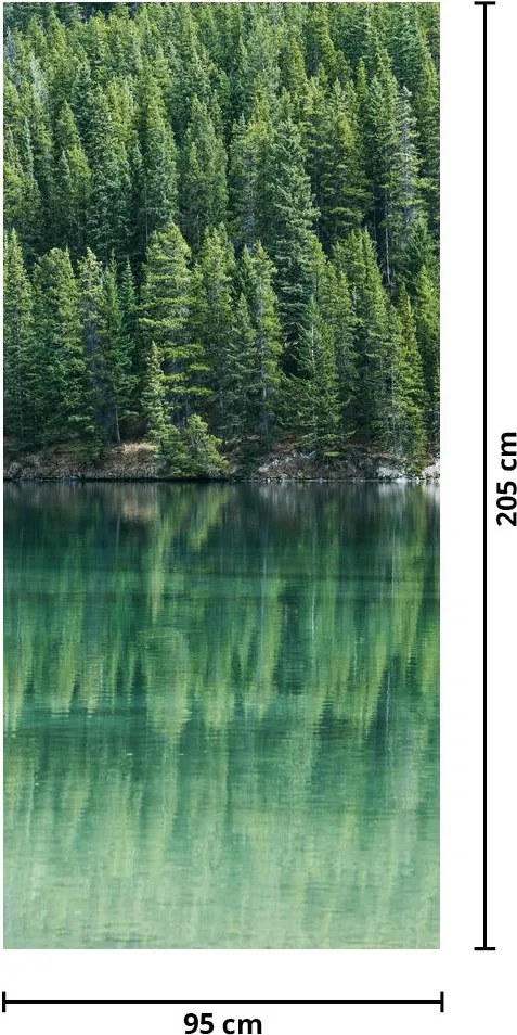 Fototapeta na drzwi - Iglaki nad jeziorem (95x205cm)