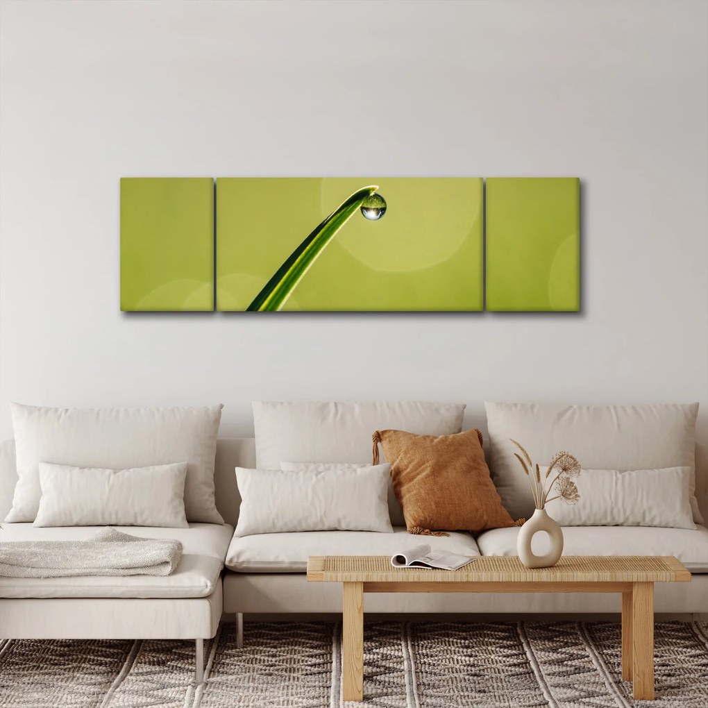 Obraz kropli wody na trawie (170x50 cm)