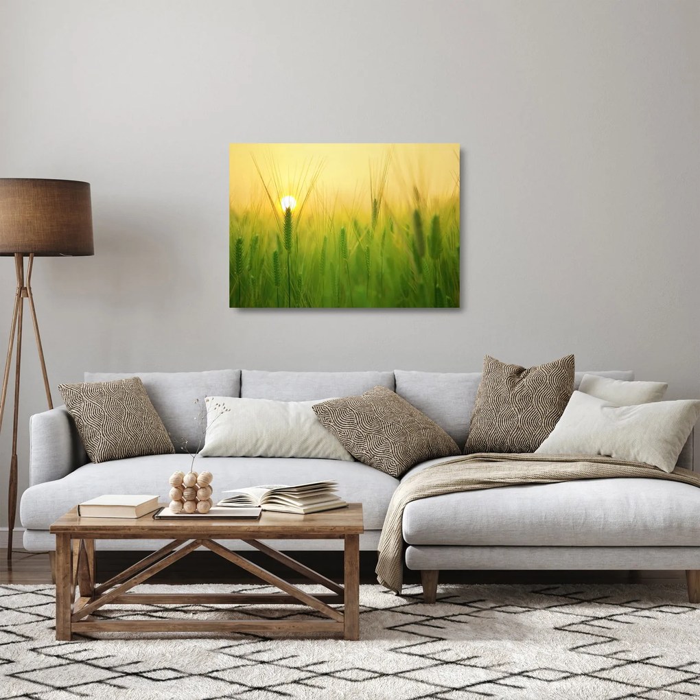 Obraz na szkle pola ze zbożem (70x50 cm)